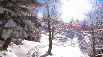 /Ski/2008/Images/1525/mini-Photo FRe 002Icon.jpg
